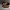 https://res.cloudinary.com/billionhands/image/upload/v1779889435/items/cbigz492cguc4ocgmkyl.jpg-0cover