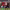 https://res.cloudinary.com/billionhands/image/upload/v1779891294/items/o7jkvd6hnaoep3by6du9.jpg-3cover
