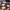https://res.cloudinary.com/billionhands/image/upload/v1779892763/items/s8btzy65ythtmv6eewje.webp-2cover
