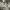 https://res.cloudinary.com/billionhands/image/upload/v1779893574/items/wtbrixo4cilvkm7rc2wq.jpg-3cover