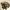 https://res.cloudinary.com/billionhands/image/upload/v1779894831/items/v8xezqll7dgzjrmaoeld.webp-0cover