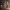 https://res.cloudinary.com/billionhands/image/upload/v1779894853/items/hnbut2dosqrwqmfchvu5.jpg-3cover
