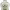 https://res.cloudinary.com/billionhands/image/upload/v1779895173/items/lztvzxfvrjqrr5nyilji.png-3cover