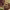 https://res.cloudinary.com/billionhands/image/upload/v1779897441/items/bcqsffbcpffkwwze7ho5.avif-0cover