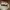 https://res.cloudinary.com/billionhands/image/upload/v1779898853/items/mw9szoryldqmbgak0vbi.jpg-0cover