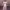 https://res.cloudinary.com/billionhands/image/upload/v1779899612/items/gcyv6sjxzzychbkspsdy.jpg-3cover