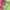 https://res.cloudinary.com/billionhands/image/upload/v1779900170/items/iggnqhwuabuusebdire7.webp-2cover