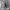https://res.cloudinary.com/billionhands/image/upload/v1779900387/items/tm9m3sulejr2xwni9jx0.jpg-0cover