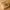 https://res.cloudinary.com/billionhands/image/upload/v1779901057/items/proqt2eikxnrbqtqlnby.webp-2cover