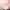 https://res.cloudinary.com/billionhands/image/upload/v1779904803/items/ewmtrqvp6cyl589uml0t.webp-2cover