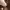 https://res.cloudinary.com/billionhands/image/upload/v1779906382/items/hbix8ez86cqmytjzjcpg.jpg-1cover