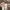 https://res.cloudinary.com/billionhands/image/upload/v1779906924/items/kms2gfghgyf7wsnsxwjd.webp-2cover