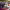 https://res.cloudinary.com/billionhands/image/upload/v1779908157/items/dmhi63fho11ebqpcesl5.jpg-3cover