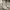https://res.cloudinary.com/billionhands/image/upload/v1779908960/items/b8i2x3frf3sncdmrciha.webp-3cover