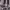 https://res.cloudinary.com/billionhands/image/upload/v1779908961/items/mg29raw1c9i5m2awjcw0.webp-3cover