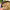 https://res.cloudinary.com/billionhands/image/upload/v1779913929/items/nfiqg0sdbxczmu3xbysg.jpg-2cover