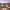 https://res.cloudinary.com/billionhands/image/upload/v1779916085/items/a6dodhnzn7nrjo0gl70n.jpg-0cover