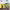 https://res.cloudinary.com/billionhands/image/upload/v1779917219/items/tcoddpvuy6pzy1gob2ud.webp-1cover