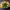 https://res.cloudinary.com/billionhands/image/upload/v1779918484/items/oxte5py8vlvcbvqlnied.jpg-0cover