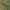 https://res.cloudinary.com/billionhands/image/upload/v1779918605/items/wumtxwgdvtlo4sg7pej1.webp-0cover