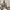 https://res.cloudinary.com/billionhands/image/upload/v1779919900/items/njnxgkeeri92ly8yv4aa.jpg-0cover
