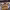 https://res.cloudinary.com/billionhands/image/upload/v1779924491/items/p8mqhiwo9cw5et7hssbu.jpg-0cover