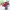 https://res.cloudinary.com/billionhands/image/upload/v1779925612/items/xpbblevcn6u1rmxgkejl.webp-2cover