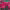 https://res.cloudinary.com/billionhands/image/upload/v1779925613/items/ka6z7sv5fedz9dse6vgt.webp-3cover