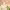 https://res.cloudinary.com/billionhands/image/upload/v1779927505/items/nwylrcyxckpmcgkb5b75.jpg-3cover