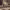 https://res.cloudinary.com/billionhands/image/upload/v1779928906/items/a3hqupthzqu8ghqasstp.jpg-0cover