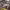 https://res.cloudinary.com/billionhands/image/upload/v1779928912/items/fcyzurisl4popw05ajqz.webp-3cover