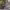 https://res.cloudinary.com/billionhands/image/upload/v1779931882/items/huuxnlbn4kez9qryyh8c.jpg-3cover