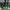 https://res.cloudinary.com/billionhands/image/upload/v1779932969/items/twxmlfihxjoyszg6kce4.webp-0cover