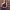 https://res.cloudinary.com/billionhands/image/upload/v1779936064/items/rqjp6so4zp0ya7msbqnk.jpg-2cover