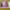 https://res.cloudinary.com/billionhands/image/upload/v1779936706/items/ynpuhqahrlafi7blua83.jpg-2cover