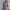 https://res.cloudinary.com/billionhands/image/upload/v1779937929/items/qrlon2slmvwog70vjuug.webp-2cover