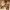 https://res.cloudinary.com/billionhands/image/upload/v1779937974/items/bvtkotk76u9iqulnnoiv.webp-3cover