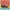 https://res.cloudinary.com/billionhands/image/upload/v1779940064/items/xsfp99cisqvjwdpu9fl9.png-1cover