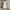 https://res.cloudinary.com/billionhands/image/upload/v1779945150/items/pfiakeuckbpbjjwydvzs.jpg-1cover