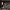 https://res.cloudinary.com/billionhands/image/upload/v1779945854/items/gwhv9tdustlxphtegpag.jpg-3cover