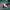 https://res.cloudinary.com/billionhands/image/upload/v1779946710/items/jplbw46fljkhqyfe2rf6.webp-0cover