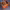 https://res.cloudinary.com/billionhands/image/upload/v1779947614/items/uvw0yrzxzq8vwccb0cql.webp-0cover