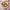 https://res.cloudinary.com/billionhands/image/upload/v1779950273/items/iybh8fdqqbumgqrogery.jpg-2cover