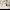 https://res.cloudinary.com/billionhands/image/upload/v1779953269/items/a42ehxpifl8uaga64iz1.jpg-0cover