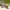 https://res.cloudinary.com/billionhands/image/upload/v1779953273/items/eykwaiiejrcu19qqpvq5.webp-3cover