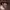 https://res.cloudinary.com/billionhands/image/upload/v1779954202/items/ypdfkks4oleyu8oogvnz.jpg-3cover