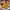 https://res.cloudinary.com/billionhands/image/upload/v1779954429/items/yin2e6jfwxfft1r5vttv.jpg-1cover