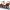https://res.cloudinary.com/billionhands/image/upload/v1779960572/items/myrfweijipuqr8w0fujj.png-1cover