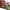 LEGO Willy Wonka The Chocolate Factory 21360 cover