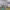 https://res.cloudinary.com/billionhands/image/upload/v1779961184/items/efvwddldxvc49k0u7l1k.jpg-0cover